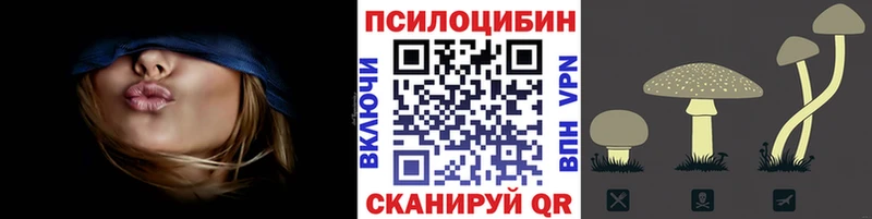 Галлюциногенные грибы Psilocybine cubensis  OMG вход  Томск 